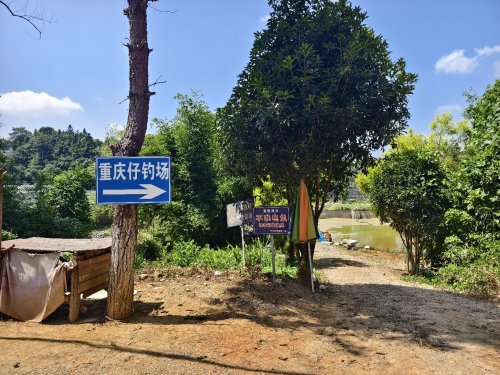 重庆仔钓场钓场环境照片