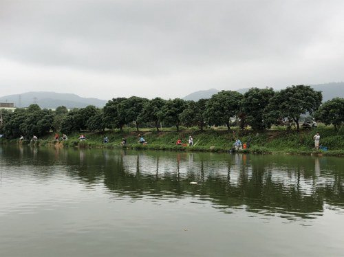 同心钓鱼场钓点与钓场环境照片