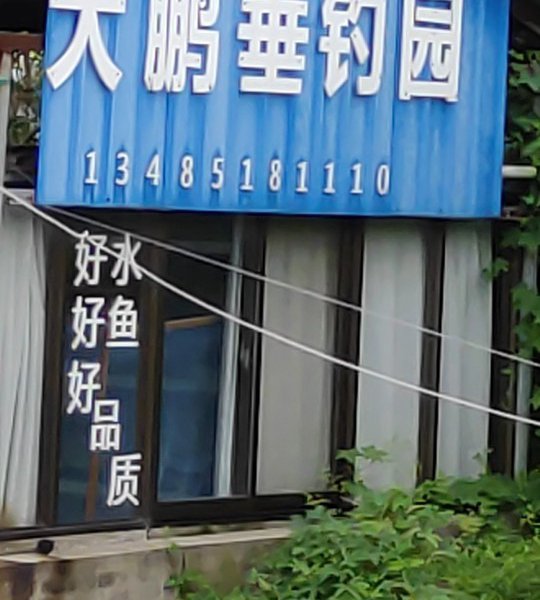 大鹏垂钓园钓场环境照片
