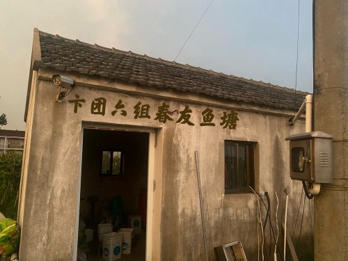 卞团六组春友鱼塘钓场环境照片