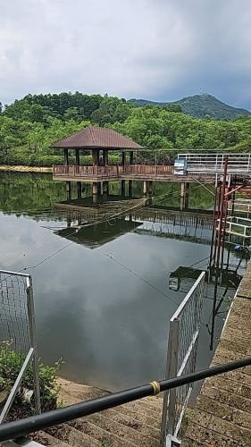城东鱼塘鱼家乐钓点与钓场环境照片