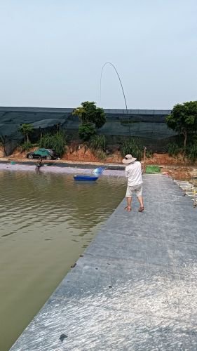 渔满仓钓鱼场钓点与钓场环境照片