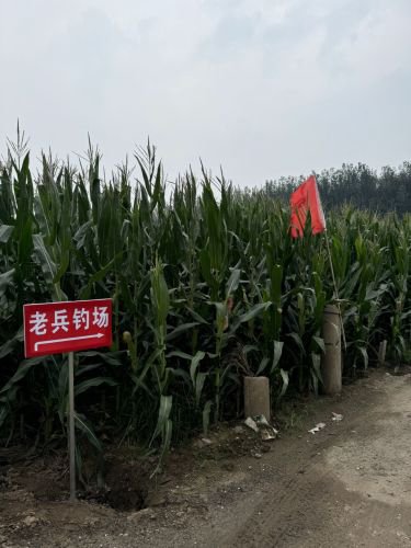 老兵钓场钓场环境照片