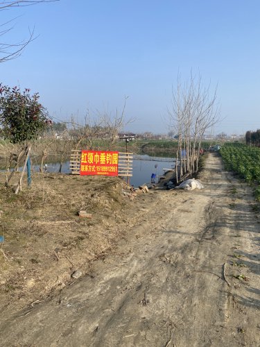 红领巾垂钓园钓场环境照片
