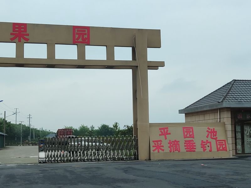 平园池采摘垂钓园钓场环境照片