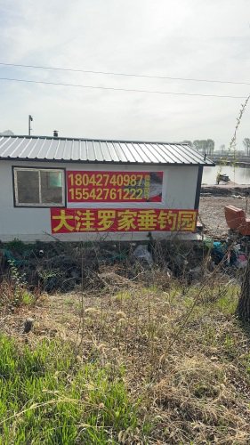 大洼罗家垂钓园钓场环境照片