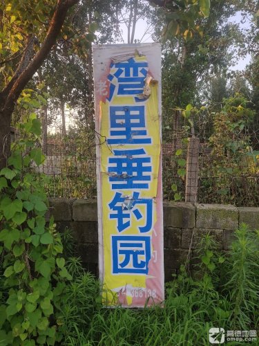 湾里垂钓园钓点与钓场环境照片