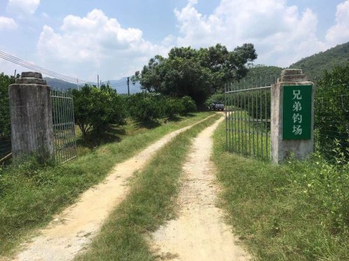 兄弟钓场钓点与钓场环境照片