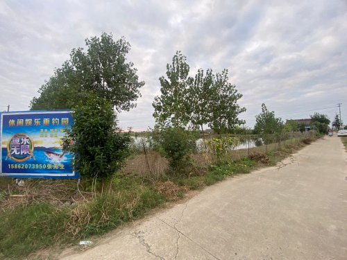 兴化大营垂钓园钓场环境照片