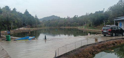 新大众钓鱼场钓点与钓场环境照片