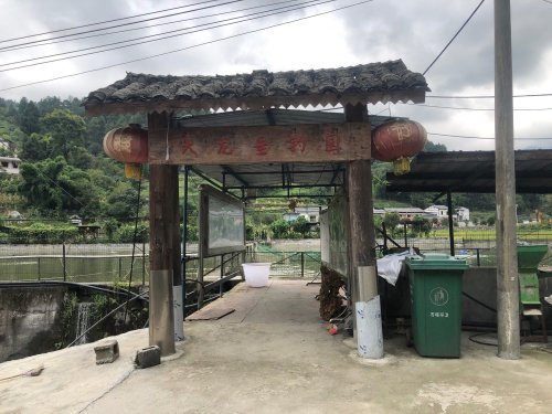 大龙垂钓园钓点与钓场环境照片
