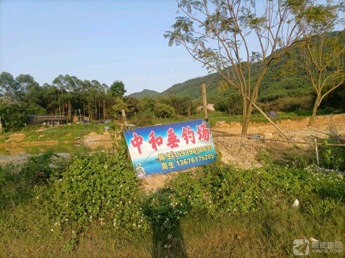 中和钓鱼场钓点与钓场环境照片