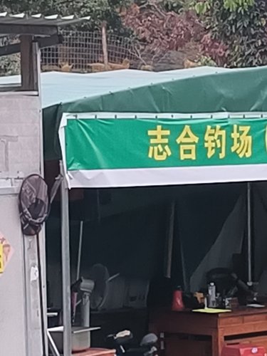 志合钓场钓点与钓场环境照片