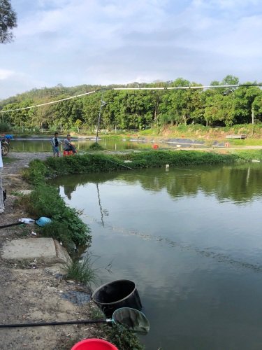厦门同安闲来小白钓鱼场钓场环境照片