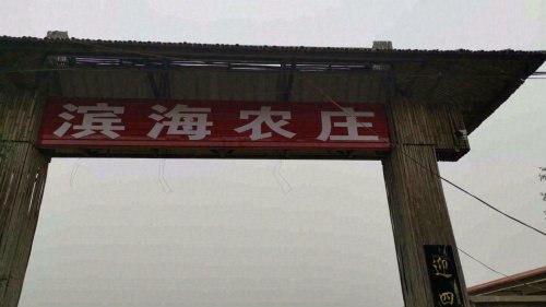 天津市静海区滨海垂钓园钓点与钓场环境照片