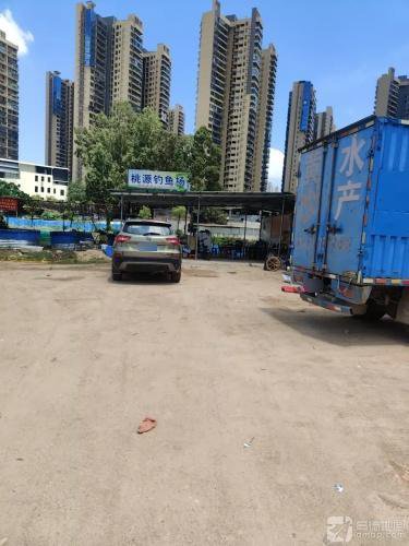 桃源钓鱼场钓点与钓场环境照片