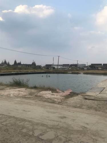 小刘垂钓中心钓点与钓场环境照片