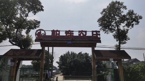 柏连休闲农庄(垂钓餐饮采摘)钓点与钓场环境照片