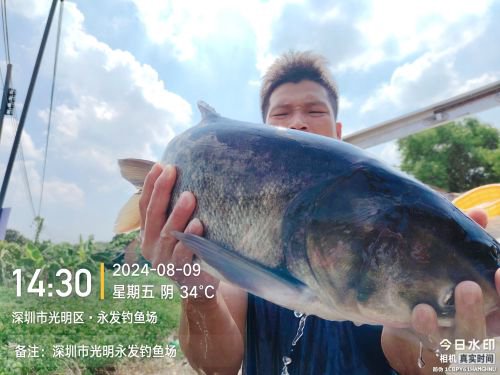 永发钓鱼场钓点与钓场环境照片