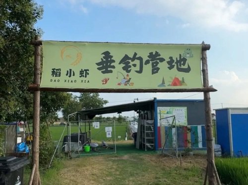 稻小虾垂钓露营钓点与钓场环境照片