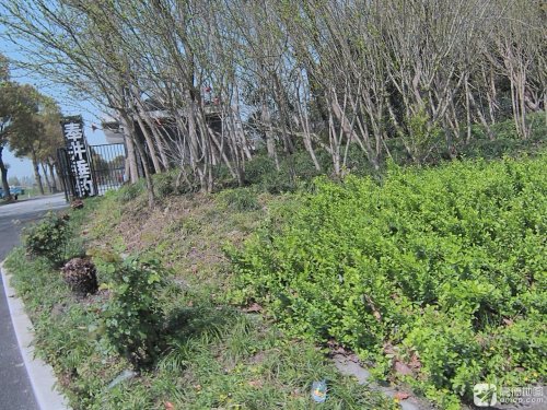 奉井垂钓钓点与钓场环境照片