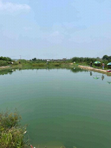小浦南垂钓园钓场环境照片