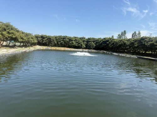 金点东方红垂钓场钓场环境缩略图