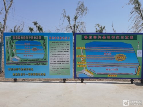 鲁能垂钓基地钓场环境照片
