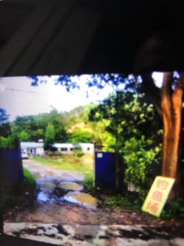 老兵农场(钓鱼场)钓点与钓场环境照片
