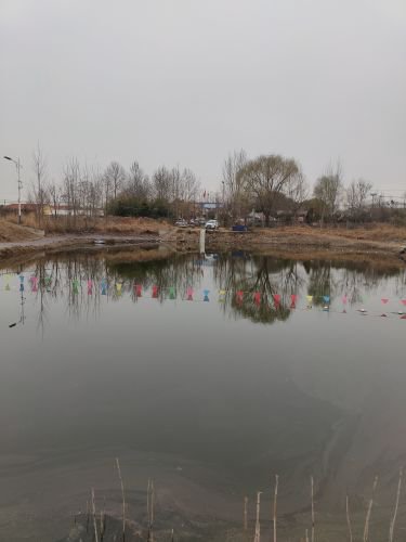 315休闲垂钓园钓点与钓场环境照片