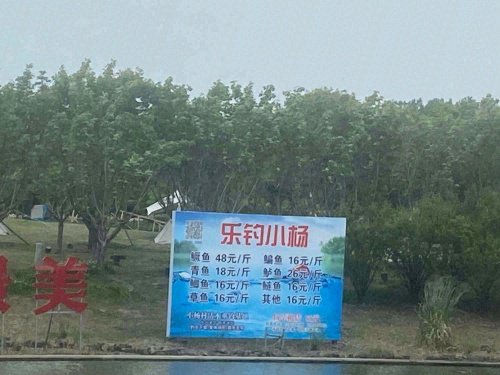溱湖绿州小杨人家活水垂钓中心钓场环境照片