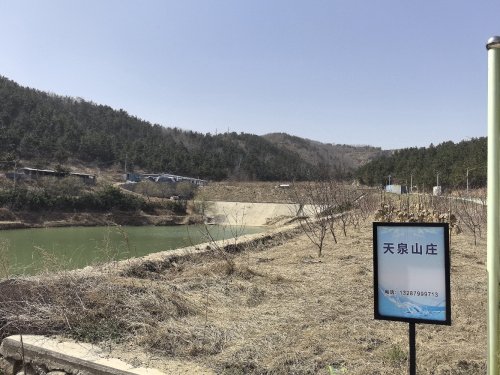 天泉山庄垂钓园钓点与钓场环境照片