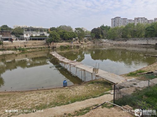 桃花小院库钓场钓场环境照片