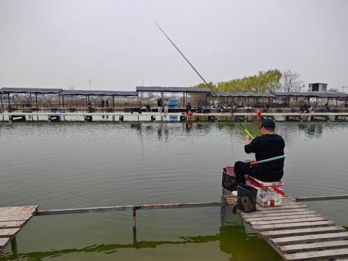 高汪垂钓园钓点与钓场环境照片