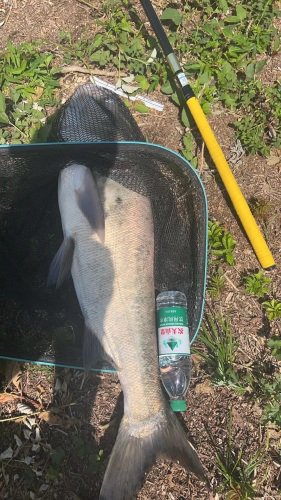 荣成山鸡休闲垂钓园钓点与钓场环境照片