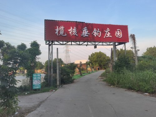 榄核垂钓庄园钓点与钓场环境照片