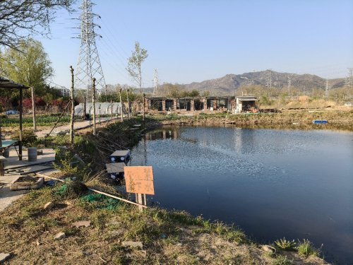 下庄休闲垂钓园钓点与钓场环境照片