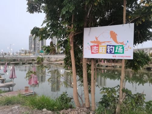 志旺大非钓场钓点与钓场环境照片