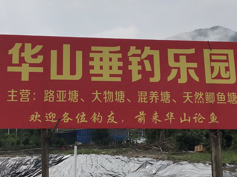华山垂钓乐园钓场环境照片