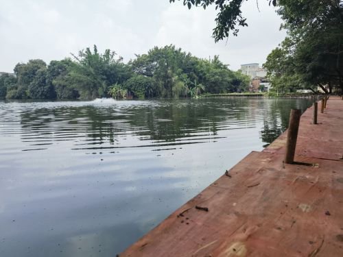 开运台钓钓鱼场钓点与钓场环境照片