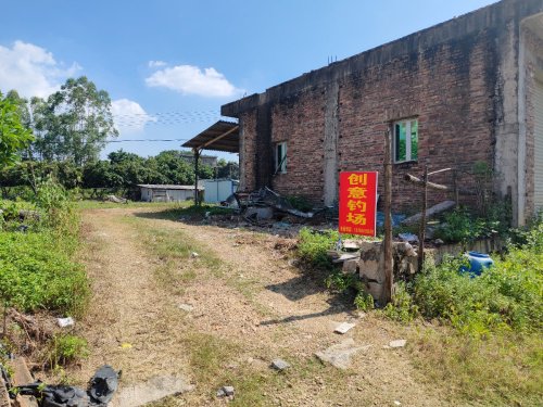 创意钓场钓场环境照片