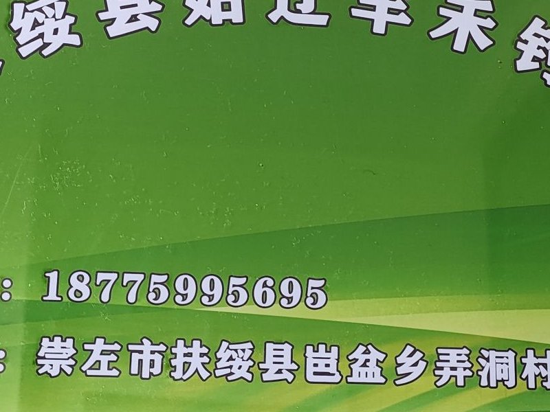 姑辽丰禾钓场钓场环境照片