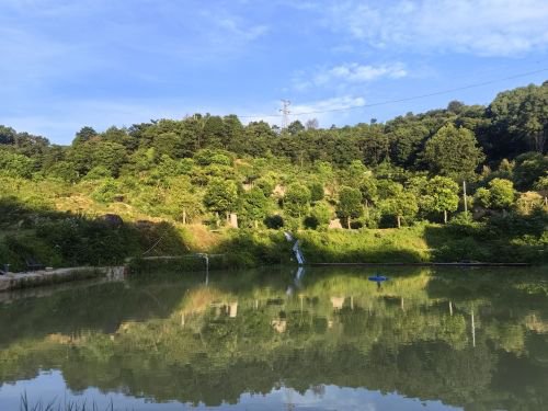 绿园大物钓场钓场环境照片