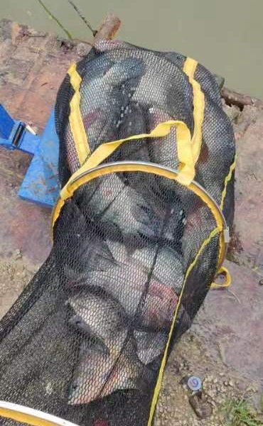 新田垂钓中心钓鱼场钓点与钓场环境照片