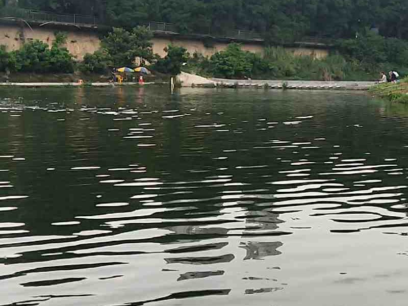 王子钓鱼场钓点与钓场环境照片