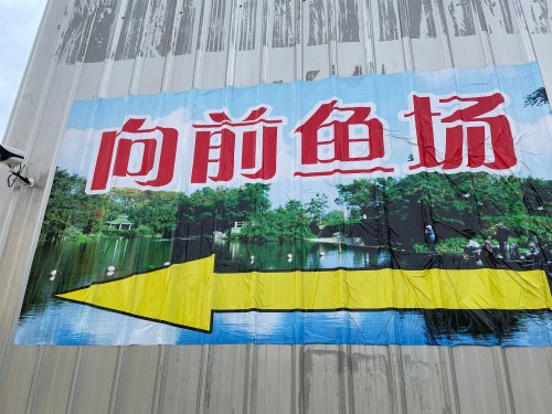 向前钓鱼场钓点与钓场环境照片