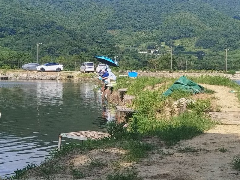 春晓陆家垂钓园钓点与钓场环境照片