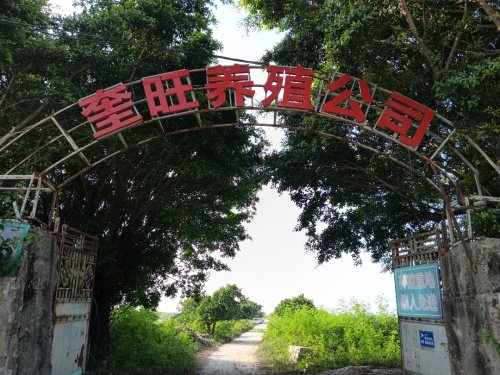 奎旺垂钓休闲娱乐场钓场环境照片