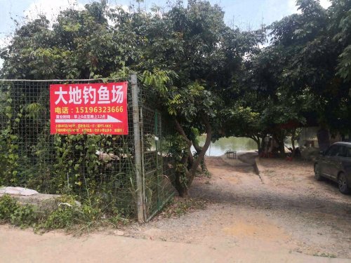 大地钓鱼场钓点与钓场环境照片