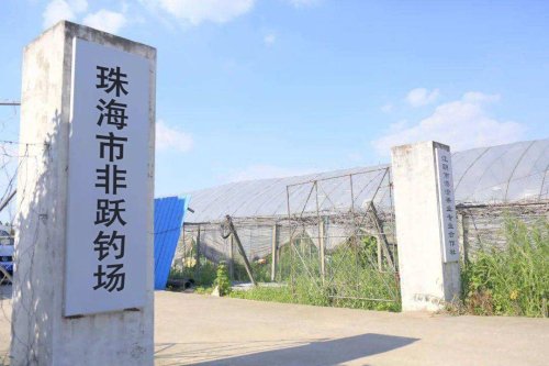 非跃钓场钓场环境照片